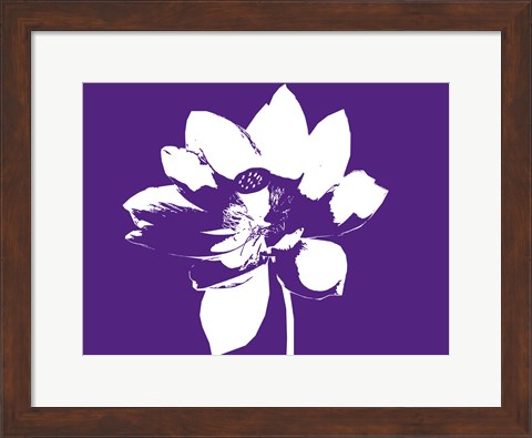 Framed Lilly on Purple Print