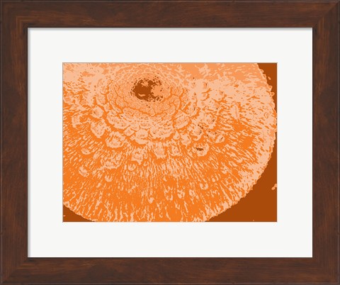 Framed Orange Abstract Print