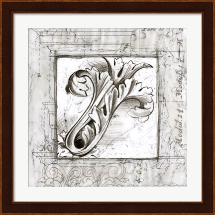 Framed Acanthus Detail IV Print