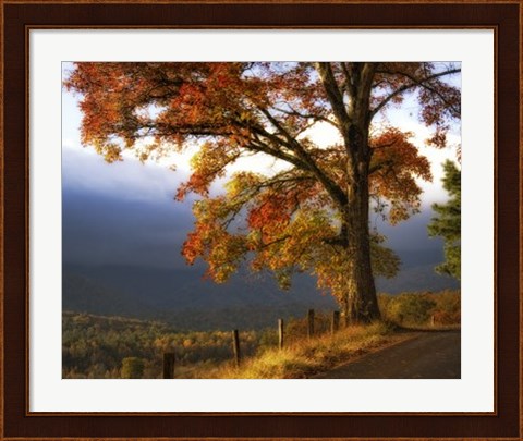 Framed And Morning Comes Print