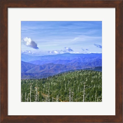 Framed Great Smoky Mountains Print