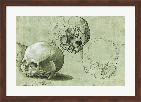 Framed Study of Three Skulls Print