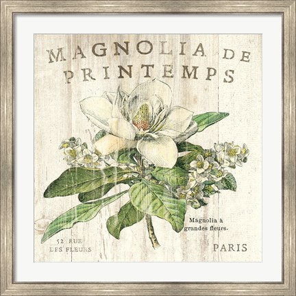 Framed Magnolia de Printemps Print