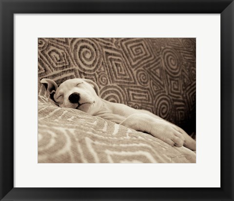 Framed Dog Tired Print