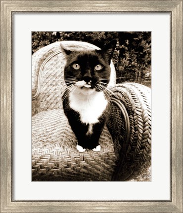 Framed Kitty I Print