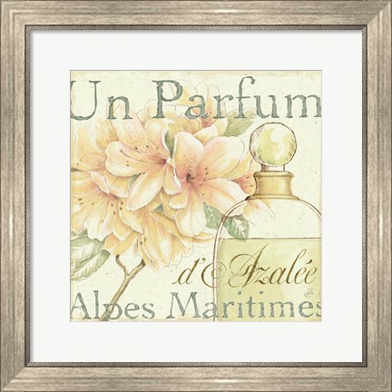 Framed Fleurs and Parfum III Print