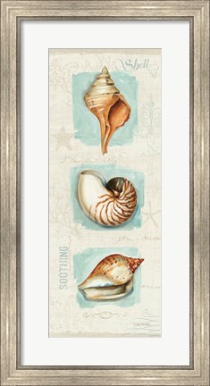 Framed Coastal Jewels Panel II Print