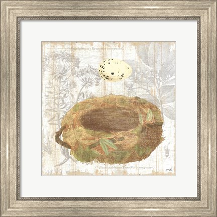 Framed Botanical Nest I Print
