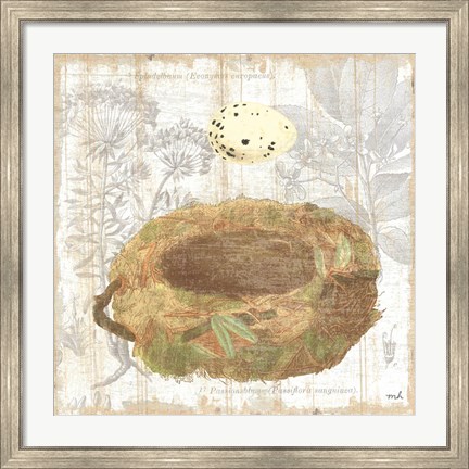 Framed Botanical Nest I Print
