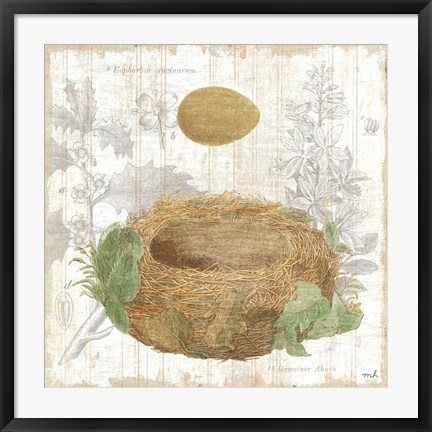 Framed Botanical Nest IV Print