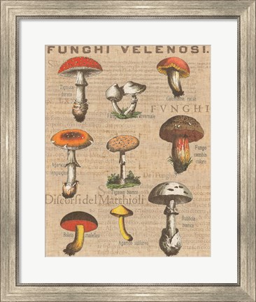 Framed Funghi Velenosi I Print