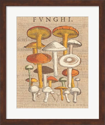 Framed Funghi Velenosi II Print
