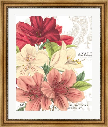 Framed Azalee Jardin II Print