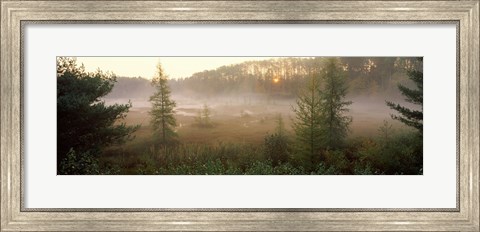 Framed Forest, Northern Highland-American Legion State Forest, Vilas County, Wisconsin, USA Print