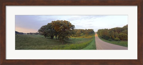 Framed Dirt road passing through a field, Wisconsin, USA Print