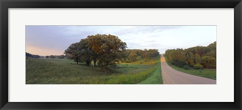 Framed Dirt road passing through a field, Wisconsin, USA Print
