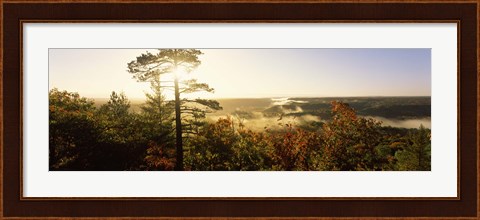 Framed Forest in autumn at sunset, Ottawa National Forest, Upper Peninsula, Michigan, USA Print