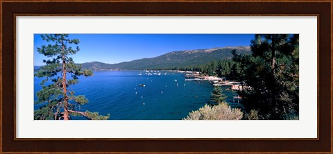 Framed Trees with lake in the background, Lake Tahoe, California, USA Print
