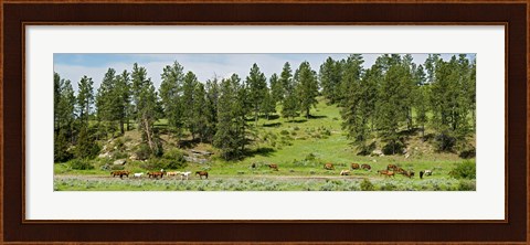 Framed Horses on roundup, Billings, Montana, USA Print