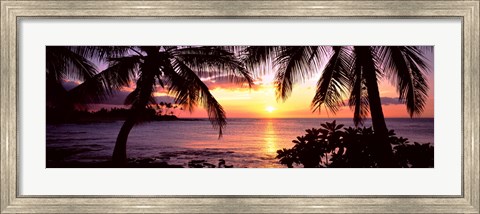 Framed Palm trees on the coast, Kohala Coast, Big Island, Hawaii, USA Print