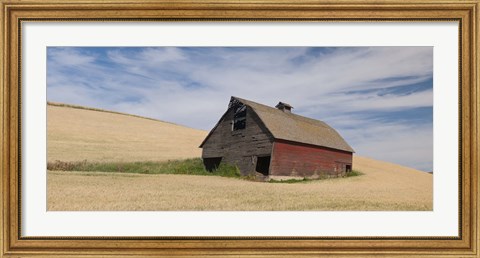 Framed Barn in a wheat field, Colfax, Whitman County, Washington State, USA Print