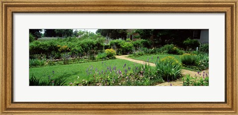 Framed USA, Virginia, Williamsburg, colonial garden Print
