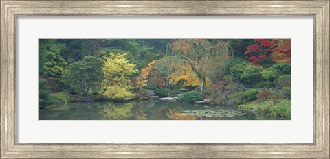 Framed Japanese Garden Seattle WA Print