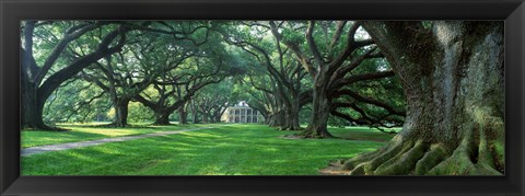 Framed USA, Louisiana, New Orleans, Oak Alley Plantation, plantation home through alley of oak trees Print