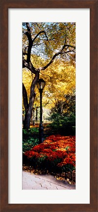 Framed Lamppost in a park, Central Park, Manhattan, New York City, New York, USA Print