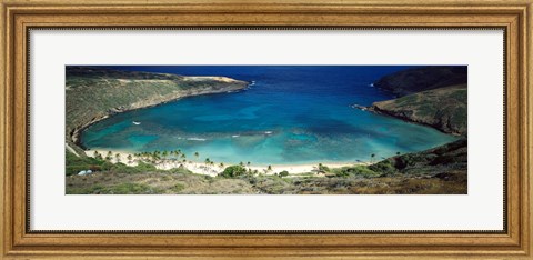 Framed High angle view of a coast, Hanauma Bay, Oahu, Honolulu County, Hawaii, USA Print