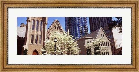 Framed Trees in front of a building, Charlotte, Mecklenburg County, North Carolina, USA Print
