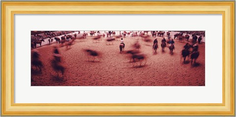 Framed Rodeo arena, Fort Worth Stock Show and Rodeo, Fort Worth, Texas, USA Print