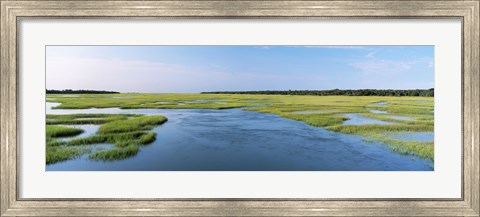 Framed Sea grass in the sea, Atlantic Coast, Jacksonville, Florida, USA Print