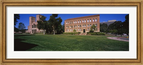Framed Lawn in front of a Royce Hall and Haines Hall, University of California, City of Los Angeles, California, USA Print