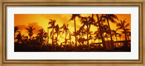 Framed Palm trees on the beach, The Setai Hotel, South Beach, Miami Beach, Florida, USA Print