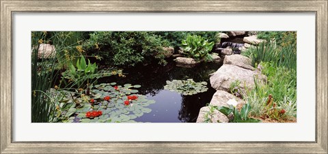 Framed Sunken Garden, Olbrich Botanical Gardens, Madison, Wisconsin Print