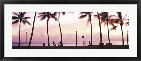 Framed Palm trees on the beach, Waikiki, Honolulu, Oahu, Hawaii Print