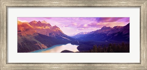 Framed Peyto Lake, Alberta, Canada Print