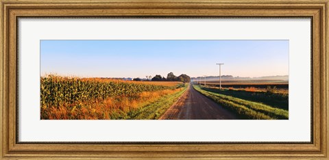 Framed Road Along Rural Cornfield, Illinois, USA Print
