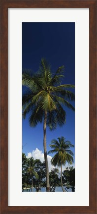 Framed USA, US Virgin Islands, Saint Thomas Print