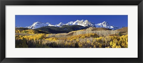 Framed USA, Colorado, Rocky Mountains, aspens, autumn Print
