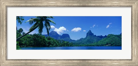 Framed Lush Foliage And Rock Formations, Moorea Island, Tahiti Print