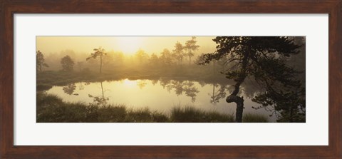 Framed Reflection of trees in a lake, Vastmanland, Sweden Print