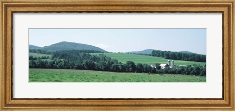 Framed Farm In A Field, Danville, Vermont, USA Print