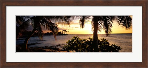 Framed Kohala Coast, Hawaii, USA Print