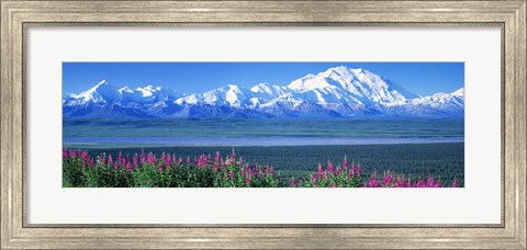 Framed Mountains &amp; Lake Denali National Park AK USA Print