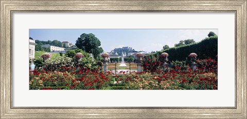 Framed Flowers in a formal garden, Mirabell Gardens, Salzburg, Salzkammergut, Austria Print