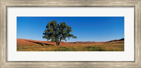 Framed Wind Cave National Park, South Dakota, USA Print