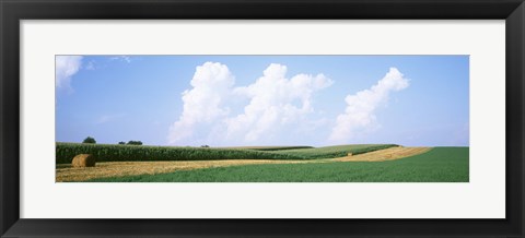 Framed Hay bales in a field, Jo Daviess county, Illinois, USA Print