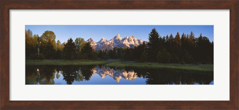 Framed Beaver Pond Grand Teton National Park WY Print